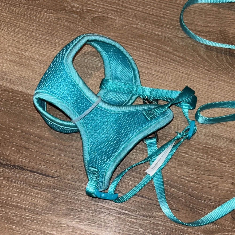 Turquoise Pet Harness and Leash Set